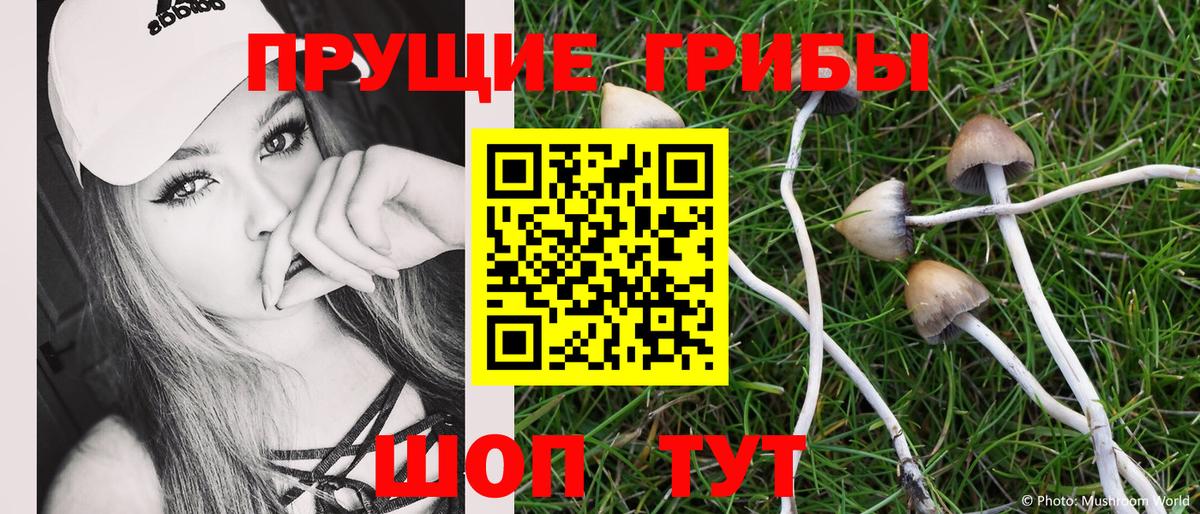Галлюциногенные грибы Cubensis Удомля
