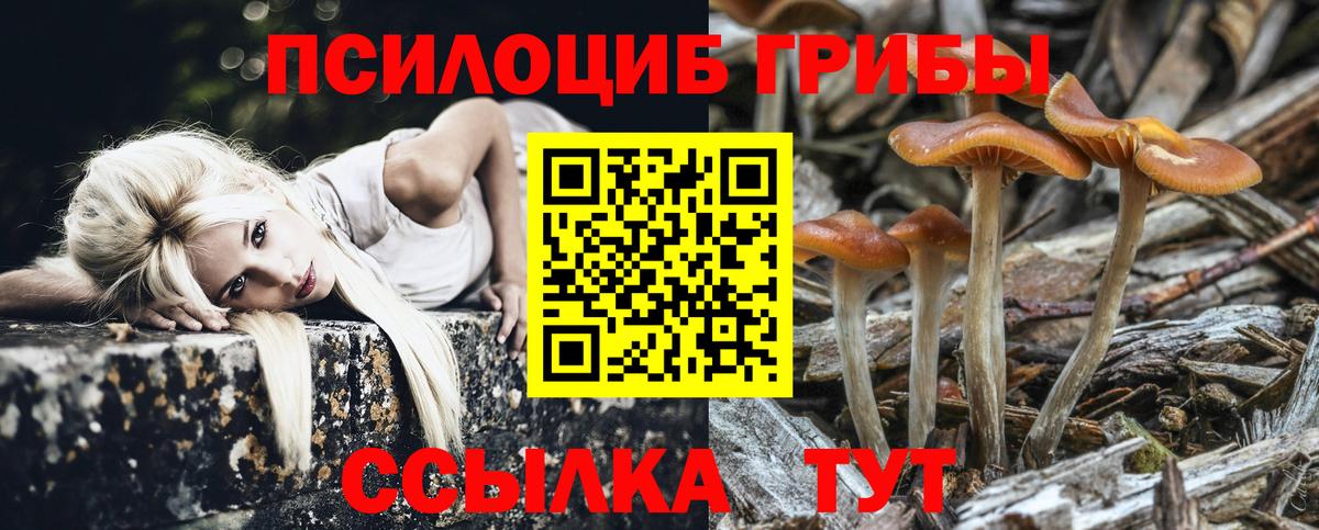 Псилоцибиновые грибы ЛСД  Вход с VPN  Удомля  Псилоцибиновые грибы Psilocybine cubensis 
